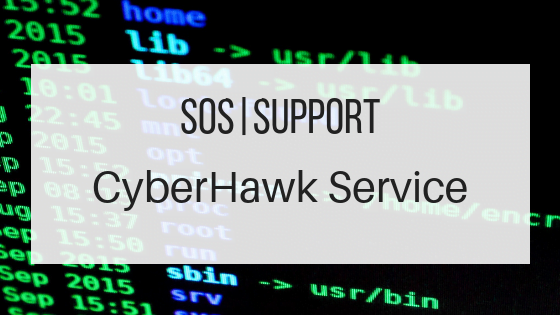 CyberHawk Security Servcies